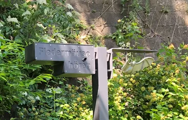 Fledermausdetektor